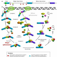 Test Lab Episode 8 - Splice