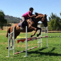 Camilla MacDonald – 2015 Quirindi Showgirl