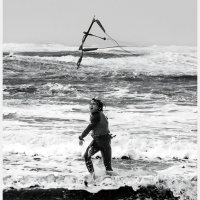 Winners and Losers | Cold Hawaii | The Megapod