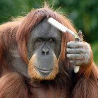 EP4 - Guarida del amor.