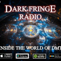 DFR Episode #065 Inside The World Of DMT