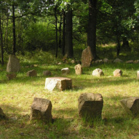 Un hombre que se perdió en el bosque.
