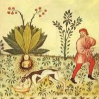 El Espíritu de las Plantas: Eco-espiritualidad y Mitología.
