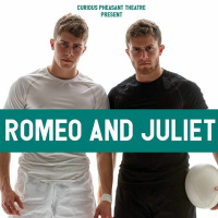 SNS Online Bitesized Series 6 - Romeo  Juliet