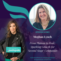 663 From Plateau to Peak: Entrepreneur Meghan Lynch on Sparking New Growth for ‘Second Stage’ Companies 