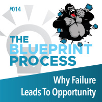 Why Failure Leads To Opportunity - Episode 14