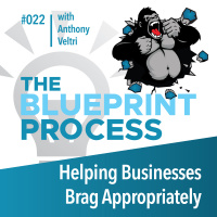 Understanding the Hero of a Business with Anthony Veltri - Episode 22