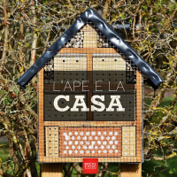 BM - Puntata n. 62 - L A.P.E. (attestato di prestazione energetica) e la casa