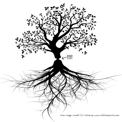 Making Permaculture Stronger