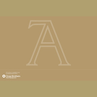 The Apollo Awards podcast: Rafaël Rozendaal on internet art