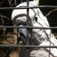 Great Influential DJ Career!