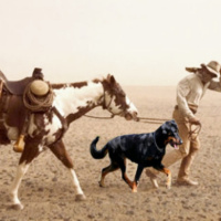 Un hombre, su caballo y su perro