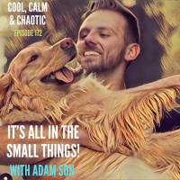 Its All In The Small Things! w/ Adam Son #172
