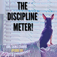 The Discipline Meter! #261