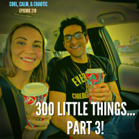 300 Little Things...Part 3! #219