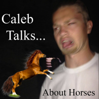 101. About Horses