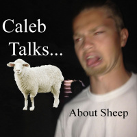 201. About Sheep
