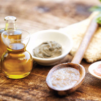 Episode 3 - Nopal: A Power Plant