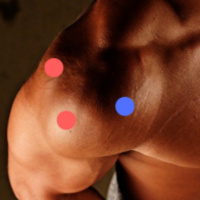 Levanta tus hombros y aumenta tu atractivo físico (1/2)