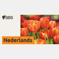 SBS Nieuwsflits: het nieuws van woensdag 26 november 2025