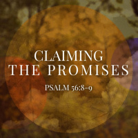 Claiming The Promises