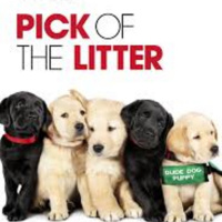 The women behind the movie Pick of the Litter!