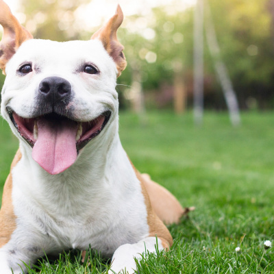 Nick  Kristen On 96.5 Koit