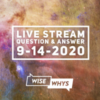 Live Stream QA #9 (9-14-2020)