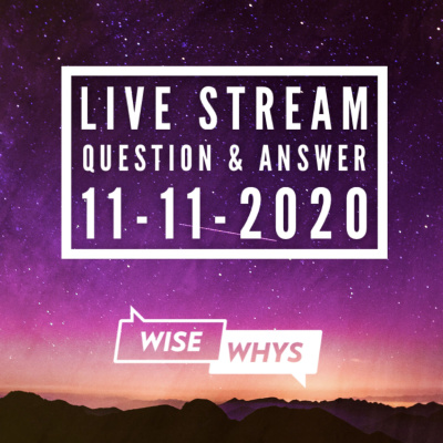Wise Whys