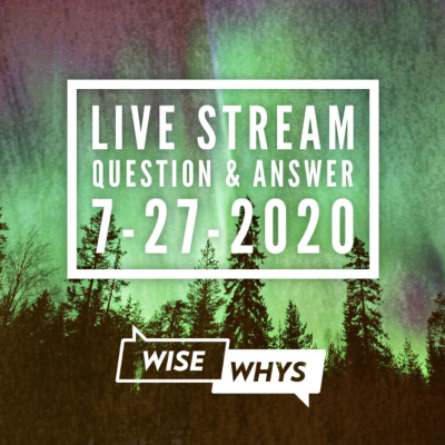 Wise Whys