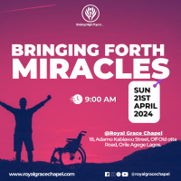 Bringing Forth Miracles PT2