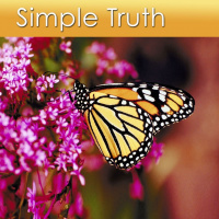 Relaxation Music of Simple Truth