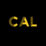 Critical Appraisal Lowdown