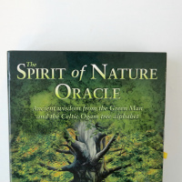John Matthews on The Spirit of Nature Oracle, the Ogam Alphabet and The Green Woman
