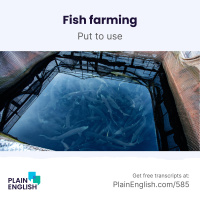 Fish farming moves to dry land | Learn English expression put to use