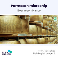 Edible microchips to track authentic Italian cheese | Learn English expression bear resemblance to