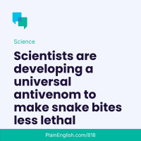 The quest to make snake bites less lethal