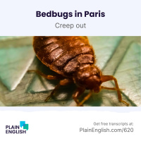 The Great Paris Bedbug Battle of 2023 | Learn English phrasal verb creep out