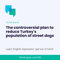 Massacre law in Turkey threatens street dogs (Get out of hand)