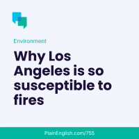 The fires that wiped through Los Angeles