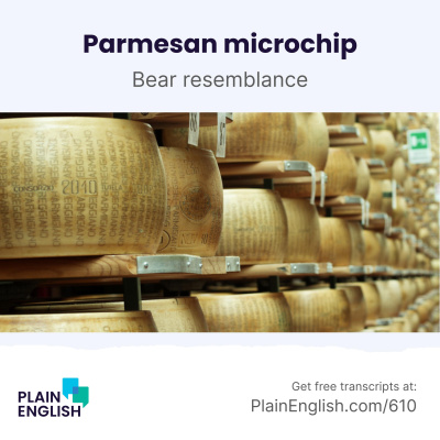 Plain English | Learn English | Vocabulary, News, And Culture At The Right Speed For English Language Learners