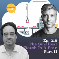 The Smallest Batch is a Pair - Dragan Stepanović Part II