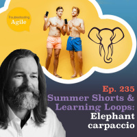 Summer Shorts and Learning Loops: Elephant carpaccio