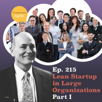 Lean Startup in Large Organizations Part I
