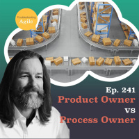 Product Owner vs Process Owner