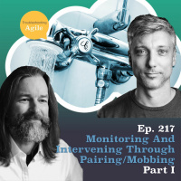 Monitoring and Intervening Through Pairing/Mobbing - Dragan Stepanović Part I
