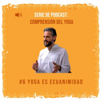 #6 Yoga es ecuanimidad