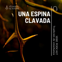 #12 Una espina clavada