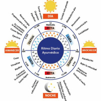 35 El reloj del Ayurveda