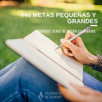 46 Metas pequeñas y grandes